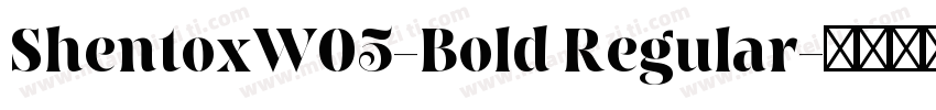ShentoxW05-Bold Regular字体转换